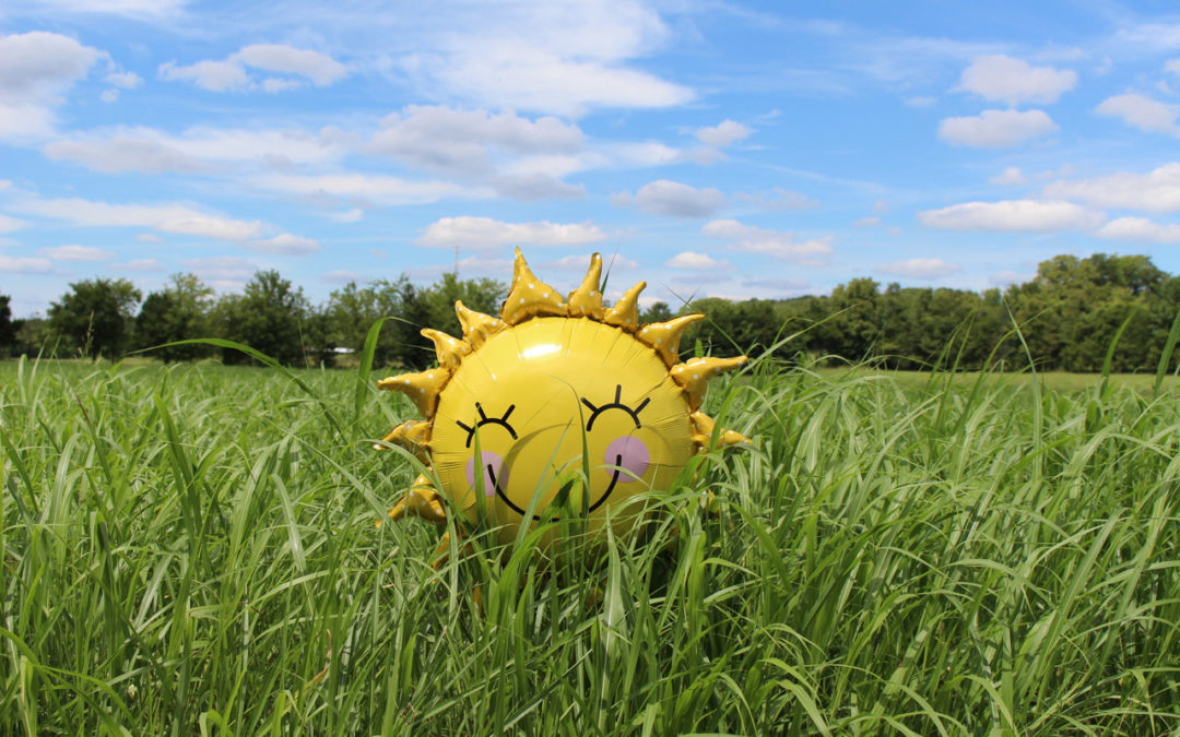 Busting the Vitamin D myths. Are you getting enough sunshine vitamin?